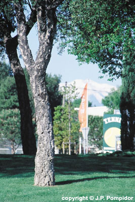 La ronde Catalane en 66 ronds-points