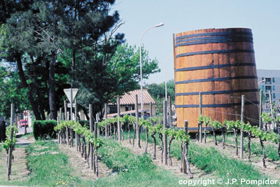 La ronde Catalane en 66 ronds-points